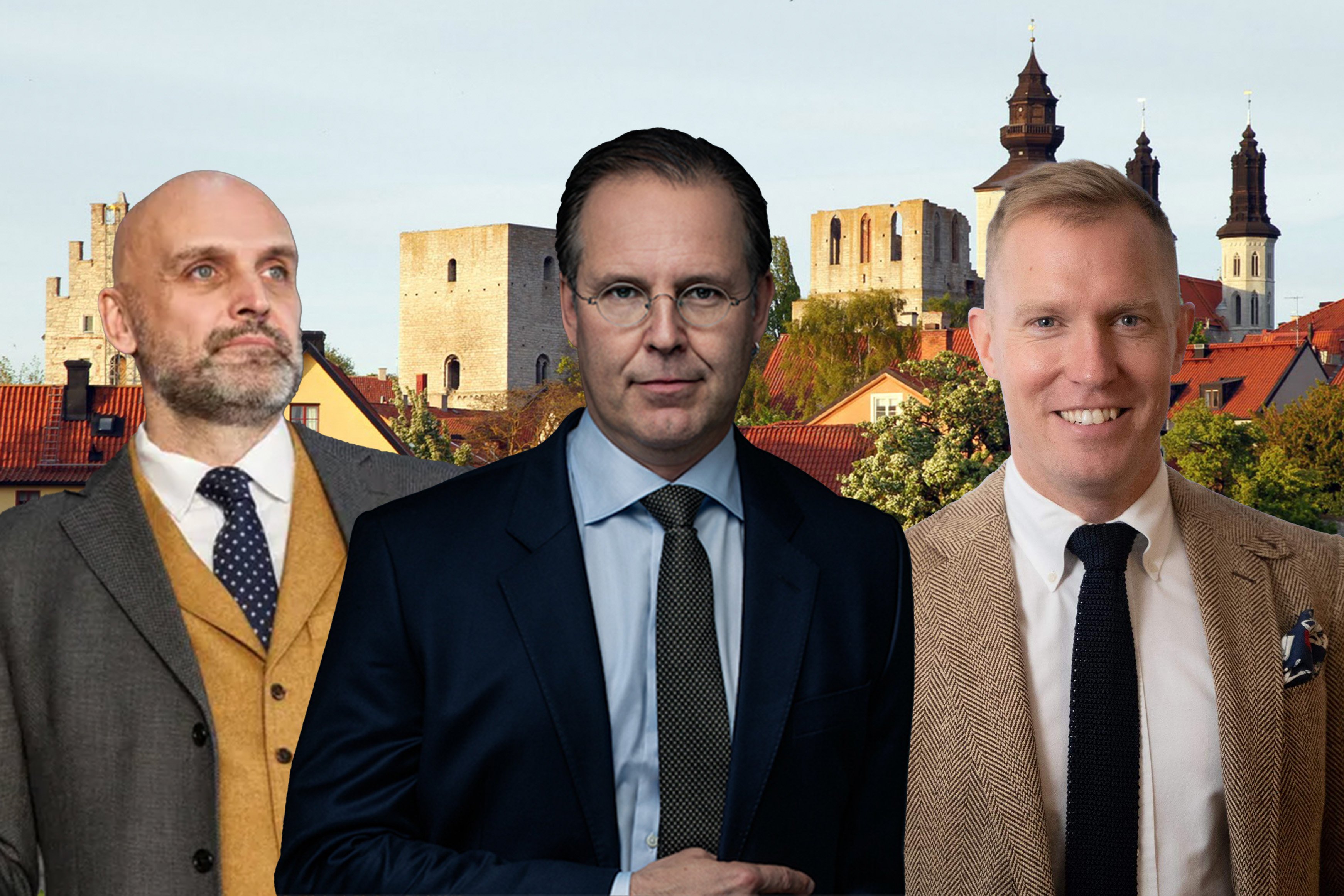 almedalen proj2.jpg
